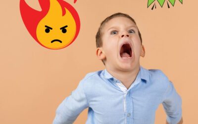 Mon enfant de 3 ans dit « NON » à tout : que faire ? 🚸🤯